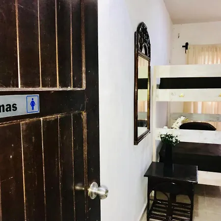 Bunk Bed In Female Dormitory Room