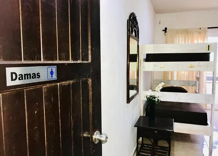 Hotel Bunk Bed In Female