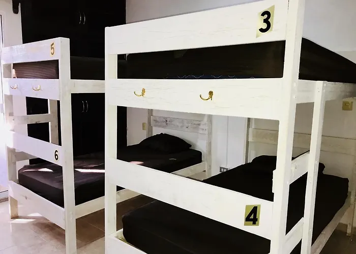 Bunk Bed In Female Hotel