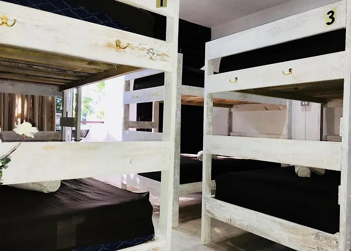 Bunk Bed In Female